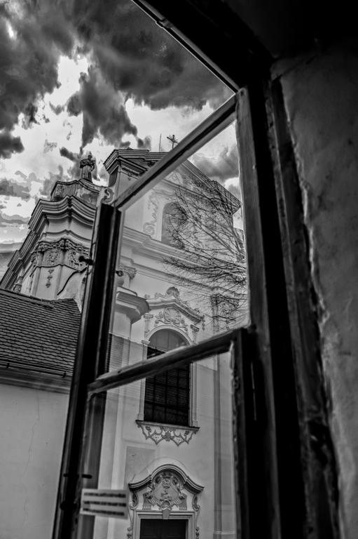 Penzion U Borovicku Litomerice Exterior photo
