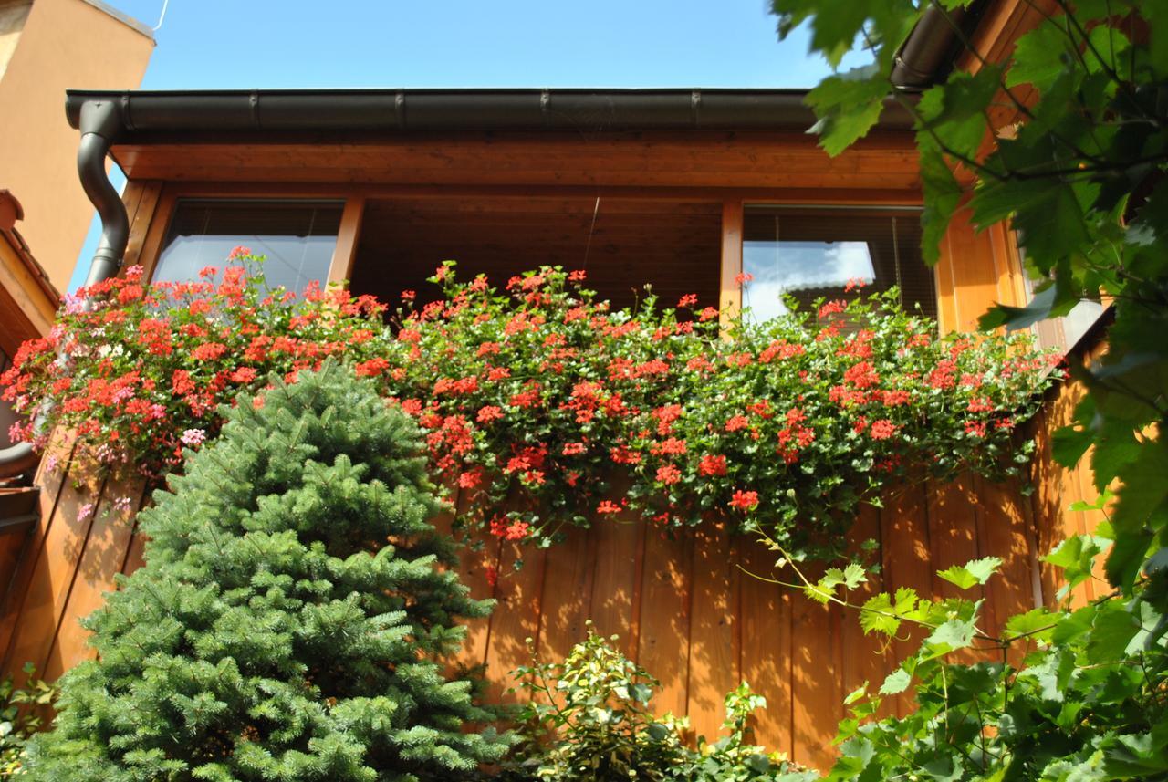 Penzion U Borovicku Litomerice Exterior photo