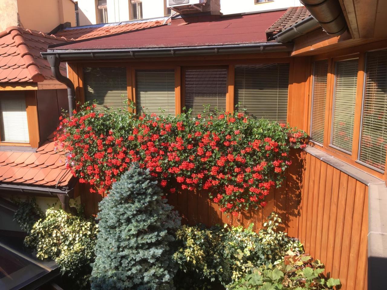 Penzion U Borovicku Litomerice Exterior photo